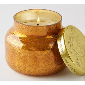 Anthropologie Capri Blue 19 oz Crackled Glass Pumpkin Clove Candle